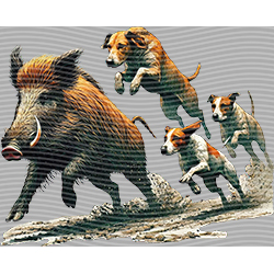 Animal Integration-DW 2773